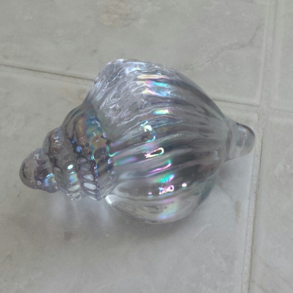 Iridescent Shell Decor